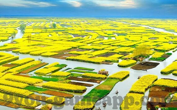体育足球比分500-探秘体育足球比分500，数字背后的激情与梦想
